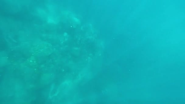 Unterwasser Sonnenstrahlen Die Von Oben Durch Das Tiefglasklare Blaue Wasser — Stockvideo