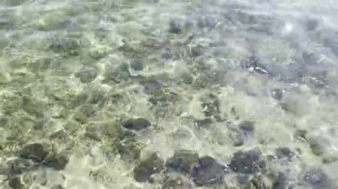 Mercan resifli kristal berrak deniz suyu mercan taşları ve su yüzeyinin altındaki kayalar. Sahilde deniz ya da okyanus.