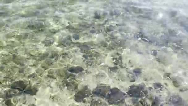 サンゴ礁と波の結晶澄んだ海の水 サンゴの石や水の表面の下の岩 海岸の海又は海 — ストック動画