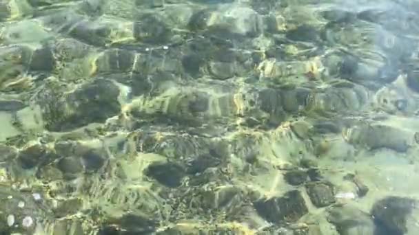 Mercan Resifli Kristal Berrak Deniz Suyu Mercan Taşları Yüzeyinin Altındaki — Stok video