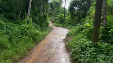 Kahverengi Çamur off-road macerası tropikal orman dağlarında. Manzara ve manzara manzarası. Açık hava eğlencesi, keşif ve eğlence..