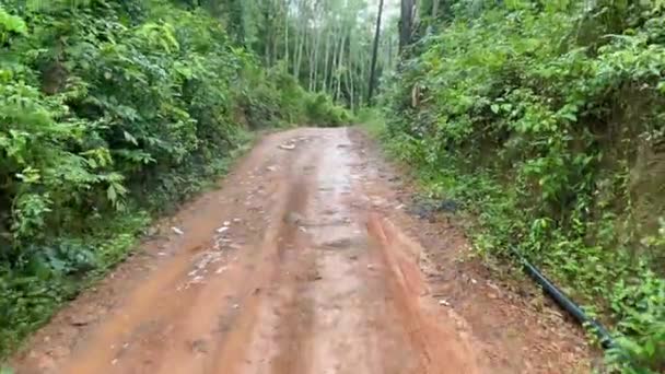 Brown Dirt Road Extreme Expedition Adventure Tropical Forest Mountains Landscape — Vídeo de stock