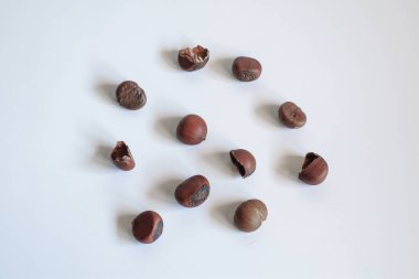 Chestnuts on white background. Pile of fresh chestnuts ready to roast. Top view, copy space. Flat lay. Space for text