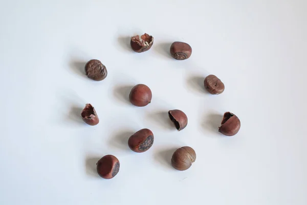 Chestnuts White Background Pile Fresh Chestnuts Ready Roast Top View — Stockfoto