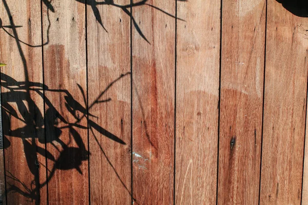 Dřevěné Stěny Slunečním Světlem Stínem Stínu Stromů Povrchu Pozadí Textury — Stock fotografie