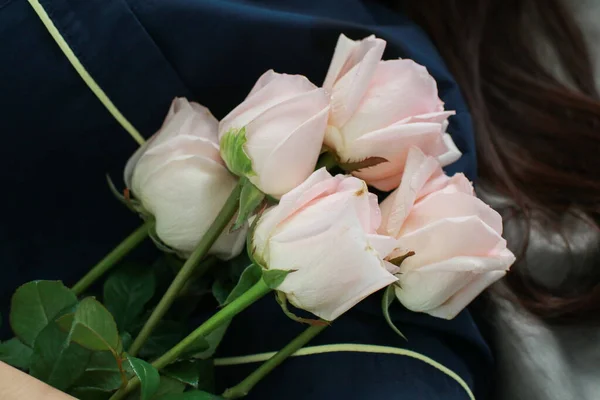 Pink rose flowers on black background. Flower arrangement holiday concept. Pastel and soft bouquet summer blossoming.