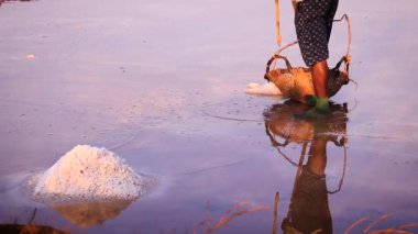 Kamboçya, Kamboçya 'da geleneksel tuz toplama metodunu gösteren dokuma sepetine tuz atan bir adamın alt kesimi.