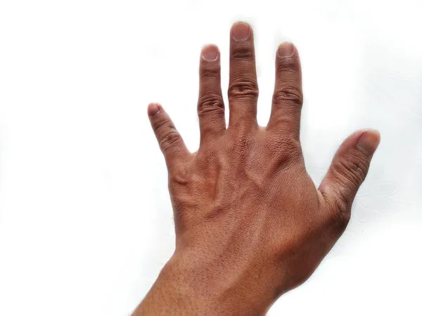 Люди Руки Пять Пальцев Показывая Номер Знак Изолированы Белом Фоне — стоковое фото