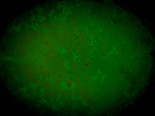 Abstract Texture Background Gradient Dark Green Solid Color Design Elements —  Fotos de Stock