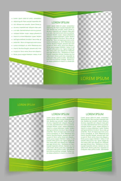 Design de modelo de brochura vetorial com elementos verdes abstratos —  Vetores de Stock