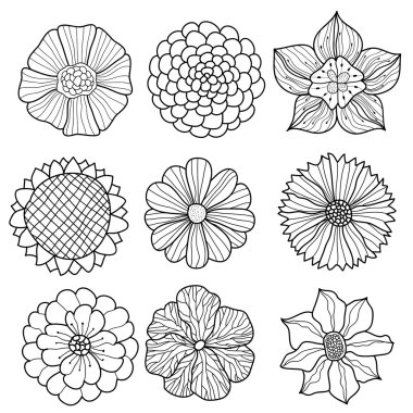 vektör toplama el çizim çiçek