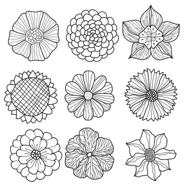 Vector collection of hand drawn flowers — Stock Vector