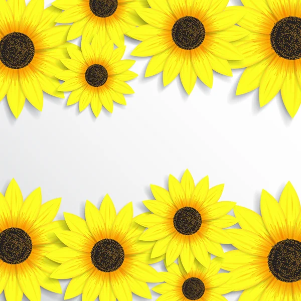 Fondo creativo con girasoles — Vector de stock