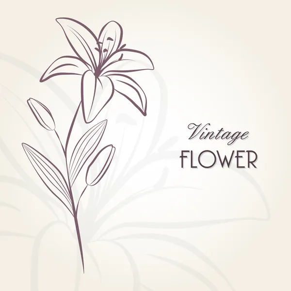 Çiçek zambaklı el çizimi çiçek arkaplanı