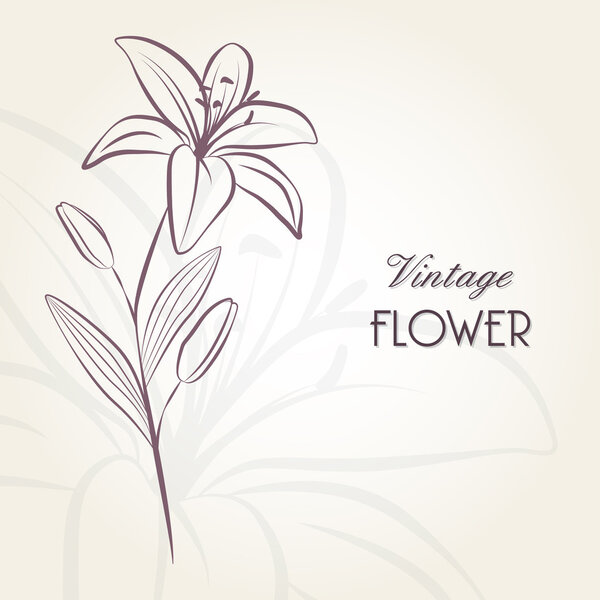 Hand-drawing floral background with flower lily