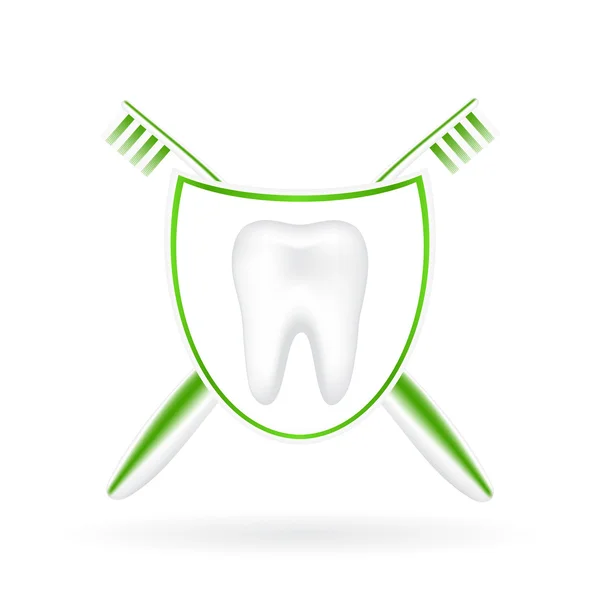 Ilustración vectorial de dientes realistas con cepillos de dientes — Vector de stock