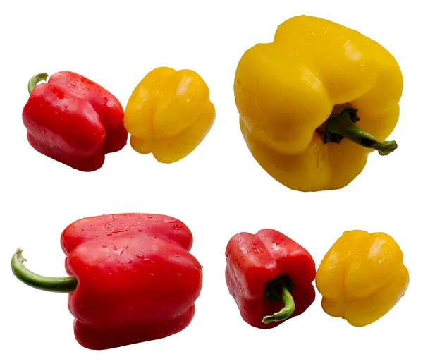 Paprika met waterdruppeltjes. — Stockfoto