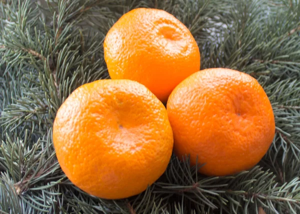 Mature doux mandarine . — Photo
