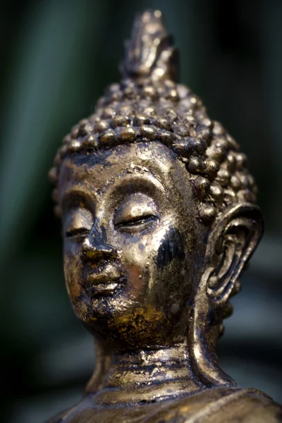 Buda.