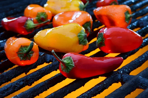 Bife grelhado com chama e legumes — Fotografia de Stock