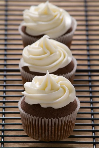 Cupcakes gourmet de chocolate com cobertura de queijo creme — Fotografia de Stock