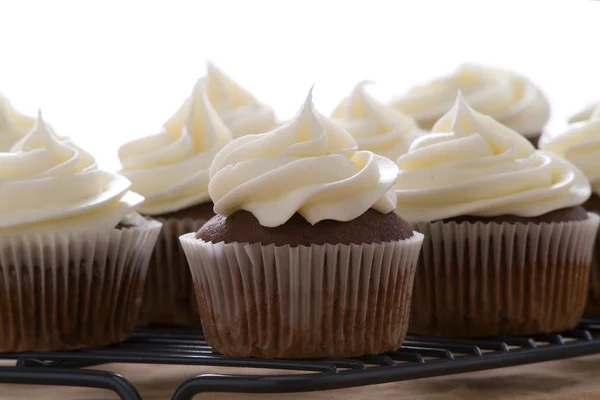 Magdalenas gourmet de chocolate con glaseado de queso crema — Foto de Stock