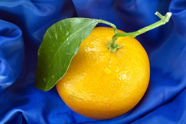 Naranja maduro sobre azul — Foto de Stock