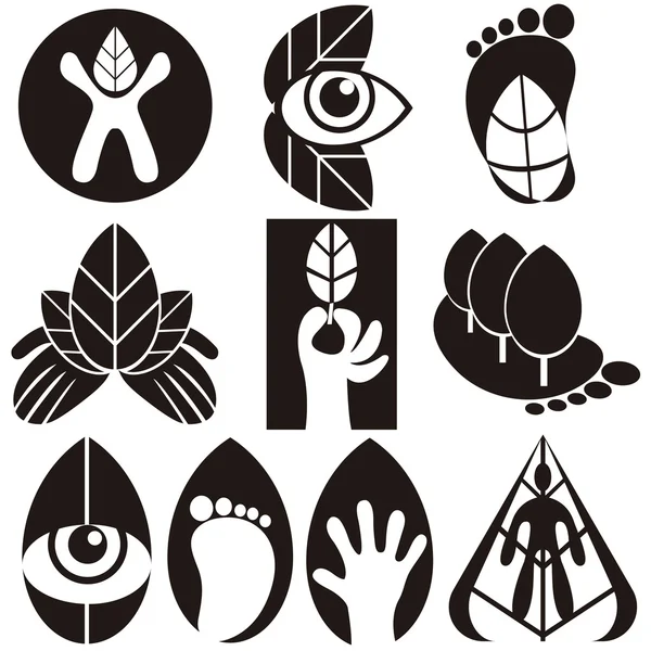 Векторный набор эко-логотипов птиц листьев — стоковый вектор