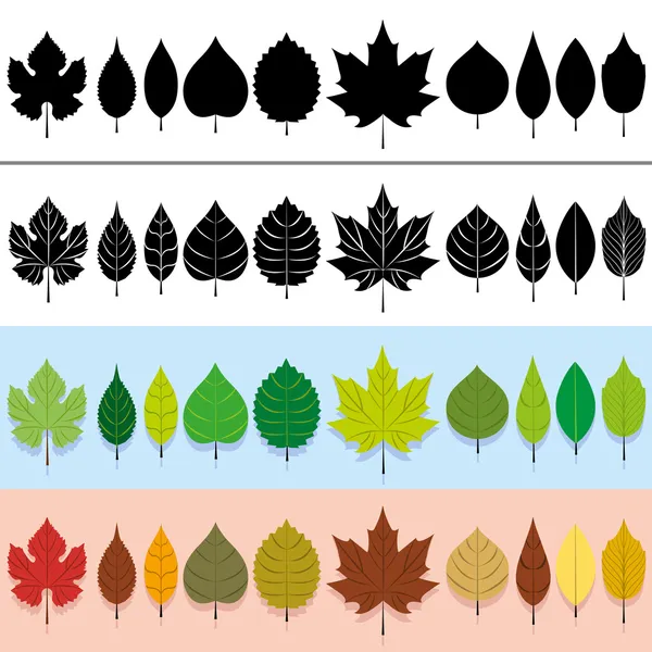 Ensemble de feuilles vectorielles — Image vectorielle