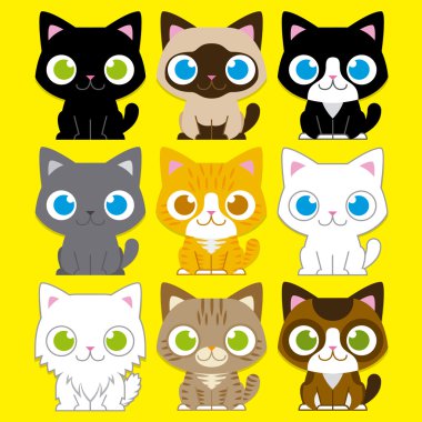 farklı çok güzel karikatür kedi izole kümesi