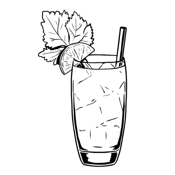 Cocktail herbal isolado desenhar vetor de ilustração —  Vetores de Stock