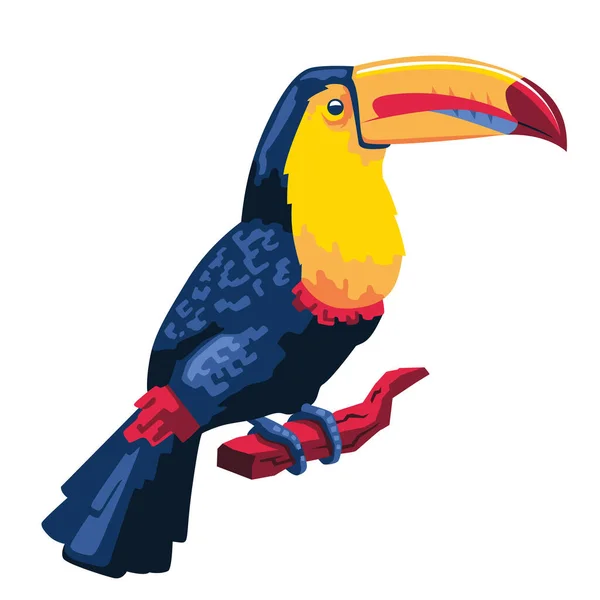 Immagine Isolata Del Tucano Uccello Colombiano Illustrazione Vettoriale — Vettoriale Stock