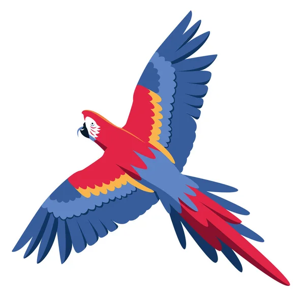 Perroquet Isolé Volant Oiseau Colombien Illustration Vectorielle — Image vectorielle