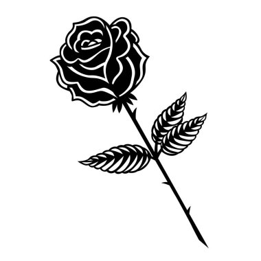 Isolated rose medium phases black draw vector illustration