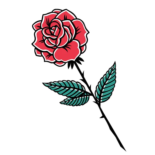 Isolated Rose Medium Phases Color Draw Vector Illustration — ストックベクタ