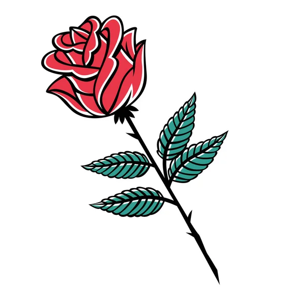 Isolated Rose Medium Large Phases Color Draw Vector Illustration — ストックベクタ