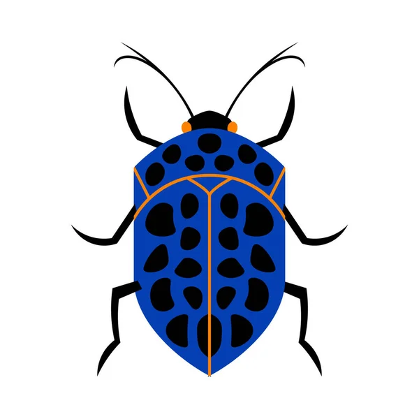 Isolated beetle Summer insect Animal Vector illustration