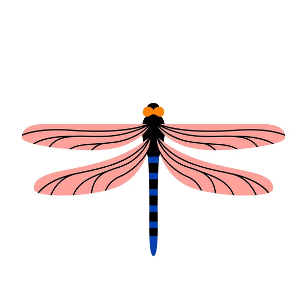 Isolated dragonfly Summer insect Animal Vector illustration