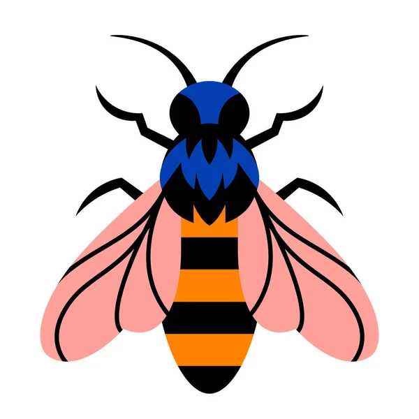 Isolated fly Summer insect Animal Vector illustration