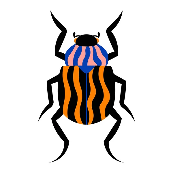 Isolated beetle Summer insect Animal Vector illustration