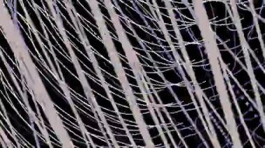 Nesne, hareketli fantastik video animasyon döngüsü hd 1080p