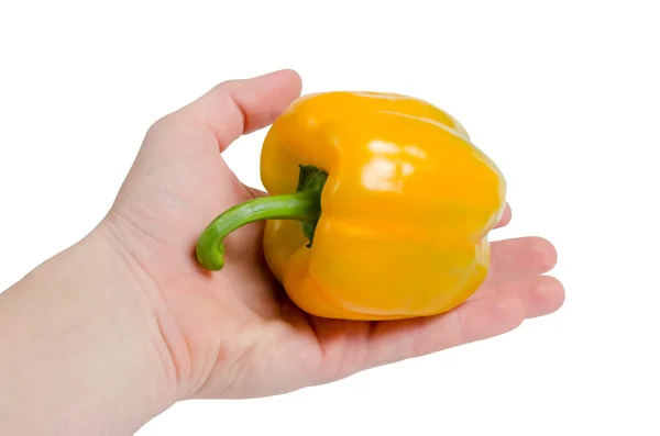 Peppers on a white background — Stock Photo, Image