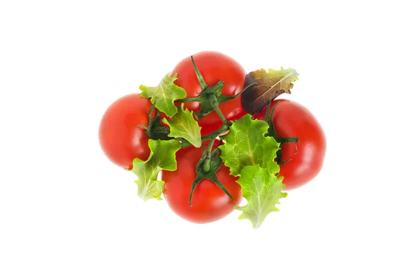 domates, marul yaprakları