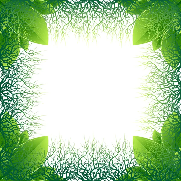 çerçeve yapılmış yeşil yaprakları ve kökü