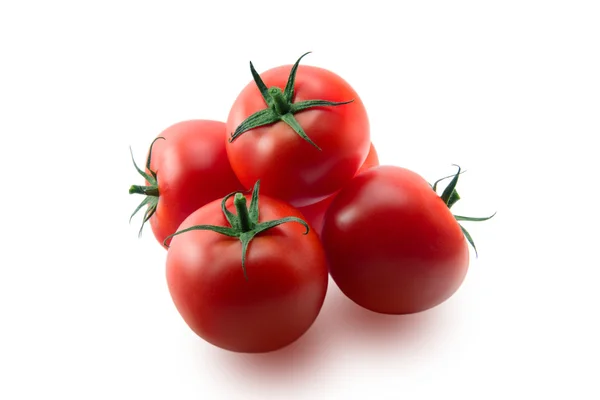 Frische Tomaten — Stockfoto