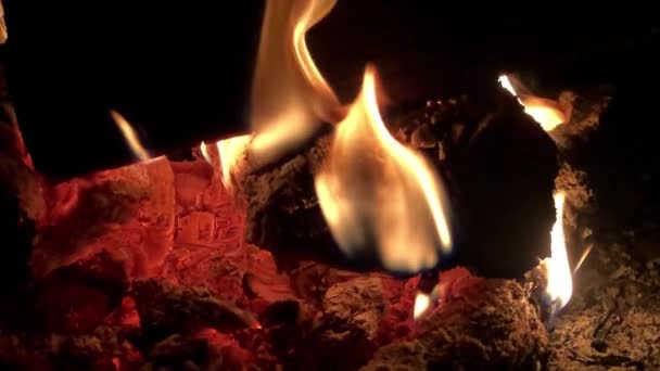 Hoguera Rápido Con Lenguas Llama Carbones Rojos 240 Fps — Vídeos de Stock