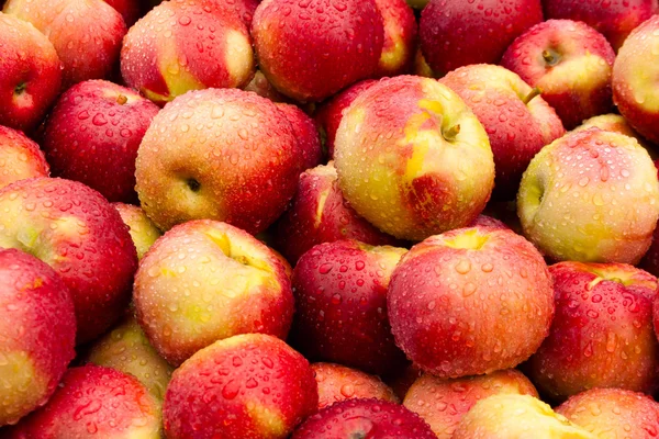 Fresh Apples With Dew — Stock Photo, Image