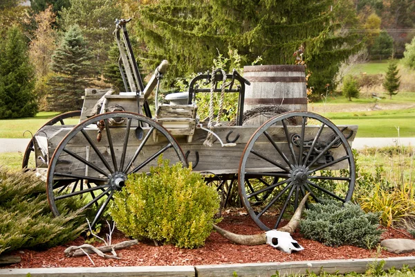Chariot antique — Photo