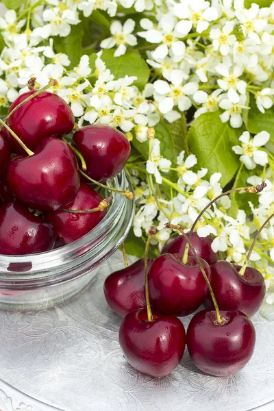 Garden cherry — Stock Photo, Image