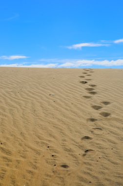 foot tracks in the dunes of maspalomas clipart